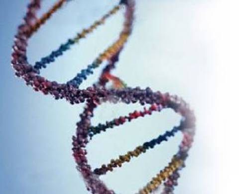 Ολόκληρη η ιστορία του ανθρώπινου είδους, "αποθηκευμένη" στο DNA μας!