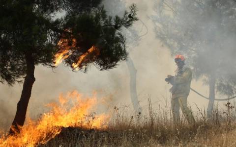 Πυρκαγιά σε δάσος στην Εκάλη