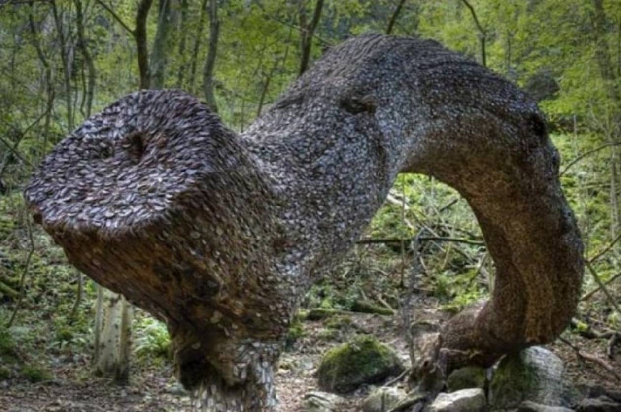 «Монетные деревья», растущие в лесу Peak District