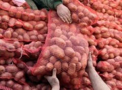 Koσμοσυρροή για αγορά πατάτας στη Ν.Ιωνία