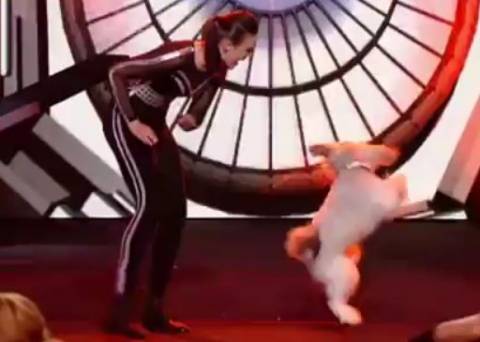 Βίντεο: Ο χορευτής σκύλος
