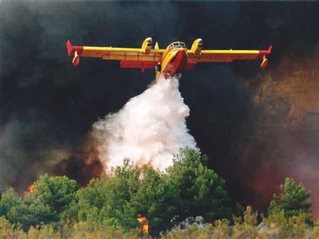 пожарный самолет картинки
