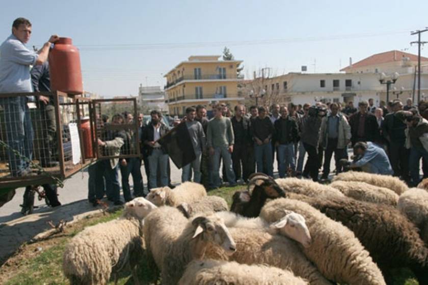 Από τη Δευτέρα η καταβολή αποζημιώσεων στους κτηνοτρόφους