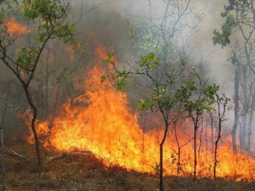 Αναζωπυρώθηκε φωτιά: Εκκενώνεται χωριό στη Λεμεσό