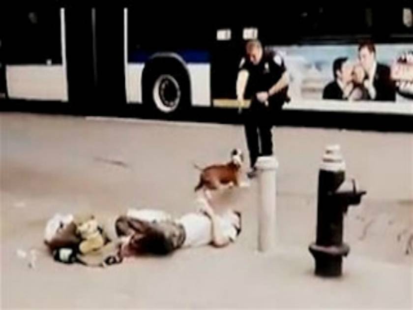 Σοκαριστικό βίντεο: Αστυνομικός πυροβολεί εν ψυχρώ σκύλο