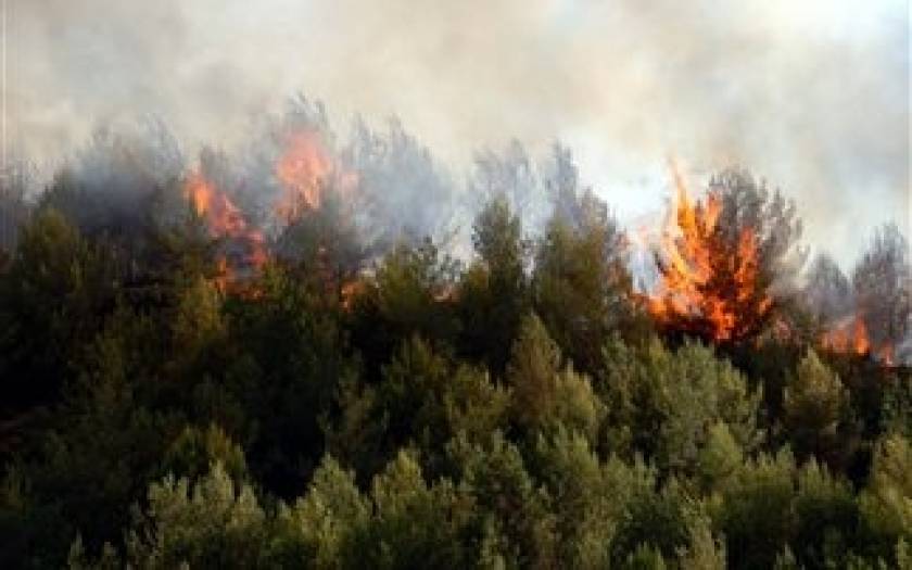 Πυρκαγιά σε δασική έκταση στην Κορινθία!