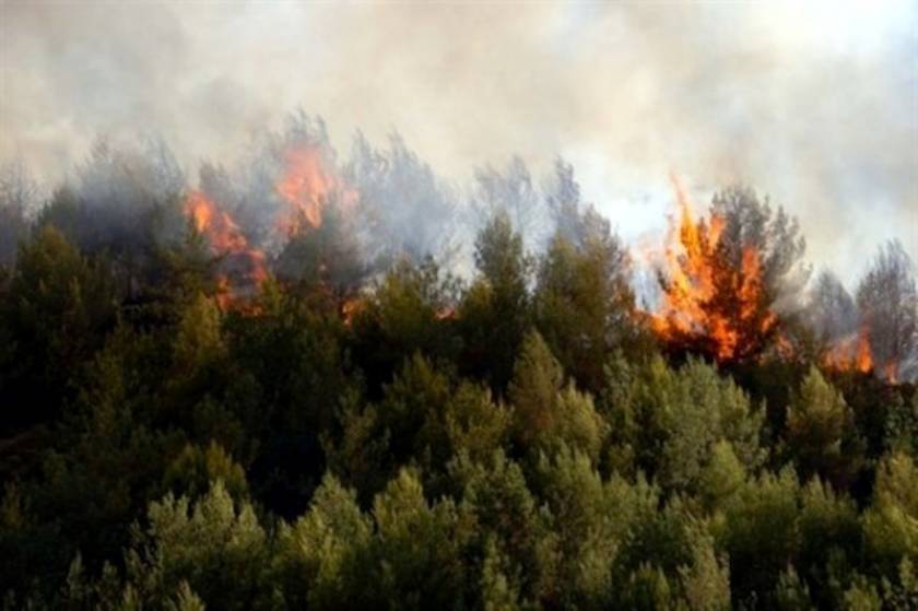 Φωτιά στην Καλαμπάκα – Απειλείται οικισμός