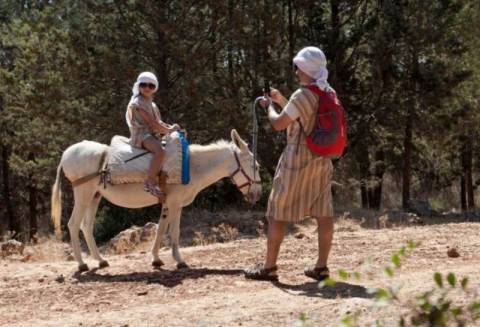 Οι Ισραηλινοί έβαλαν WiFi σε γάιδαρους για να «τονώσουν» τον τουρισμό