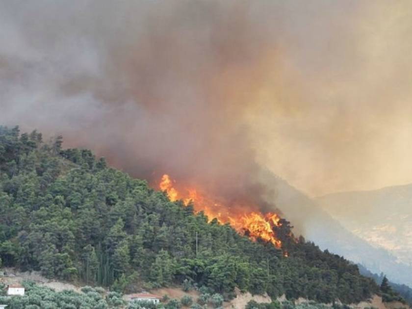 Υπό μερικό έλεγχο η πυρκαγιά στην Λακωνία