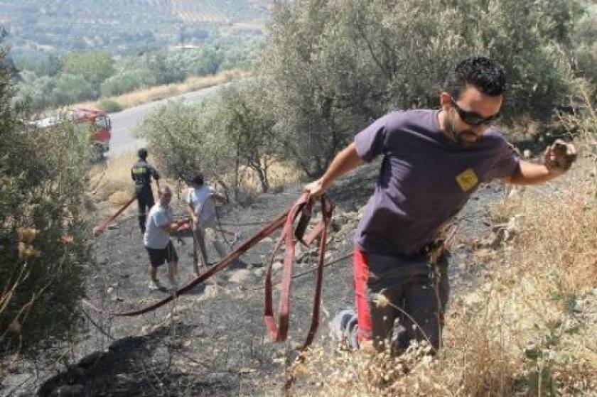 Κρήτη: 510 στρέμματα κάηκαν από τη φωτιά στο Σμάρι