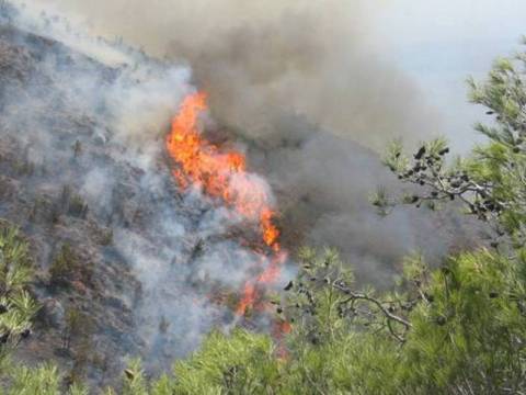 Πυρκαγιά στη Χίο τα ξημερώματα