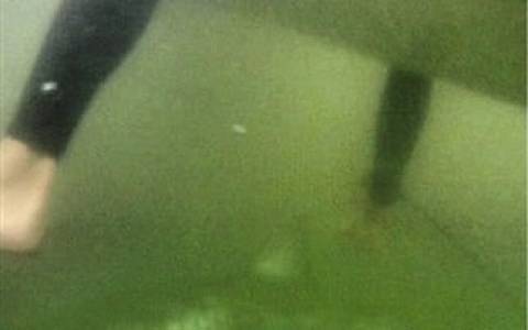 Φώτο που παγώνει το αίμα: Βρέθηκε σε απόσταση αναπνοής από καρχαρία