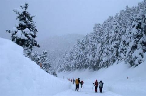 Πάνω από τρία μέτρα το χιόνι στον Παρνασσό (pics)