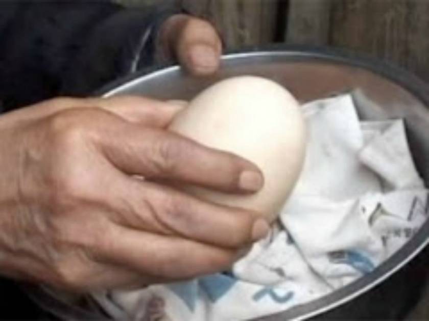 Βίντεο: Δεν θα πιστεύετε τι είχε μέσα αυτό το αυγό