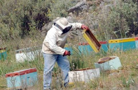 Προγράμματα εκπαίδευσης για μελισσοκόμους