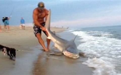 Βίντεο: Πάλεψε με γυμνά χέρια με έναν... καρχαρία!