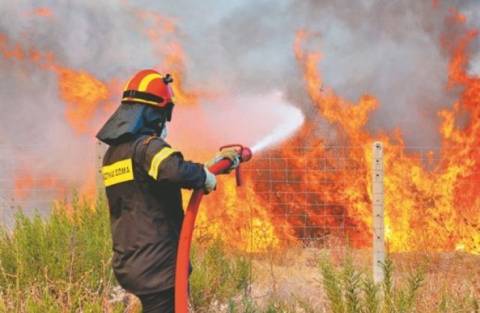 Πάτρα: «Τσάκωσαν» γυναίκα ενώ έβαζε φωτιές πίσω από το νοσοκομείο του