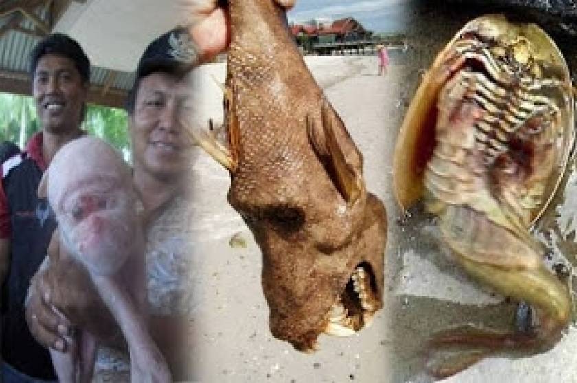 Αληθινά ή όχι: Τα πιο παράξενα πλάσματα που βρέθηκαν στην γη (pics)