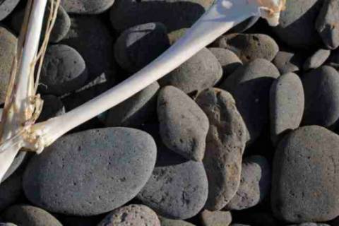 Κέρκυρα: Μυστήριο με σκελετό σε παραλία