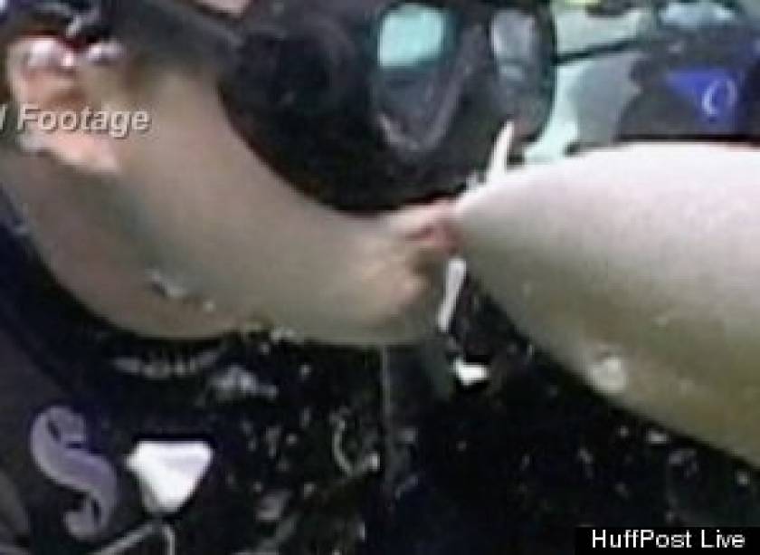 Βίντεο-ΣΟΚ: Δείτε τι έπαθε όταν πήγε να φιλήσει έναν... καρχαρία!