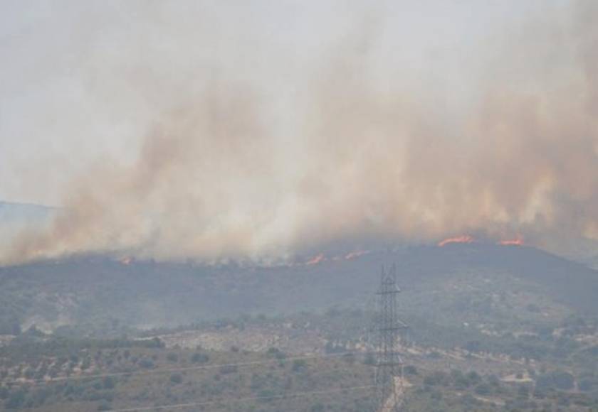 Σε ύφεση η φωτιά στην Εύβοια- Κάηκαν 1.500 στρέμματα
