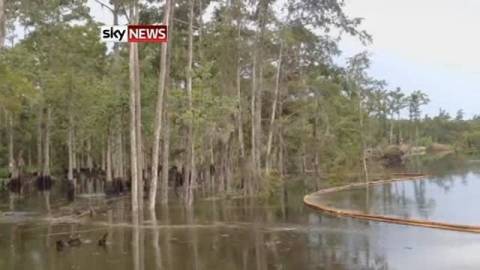 Βίντεο-ΣΟΚ: Γιγαντιαία ρουφήχτρα καταπίνει... ολόκληρα δέντρα!