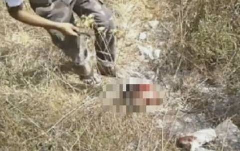 Βίντεο-ΣΟΚ: Σύροι αντάρτες αποκεφάλισαν το πτώμα του Σύρου πιλότου