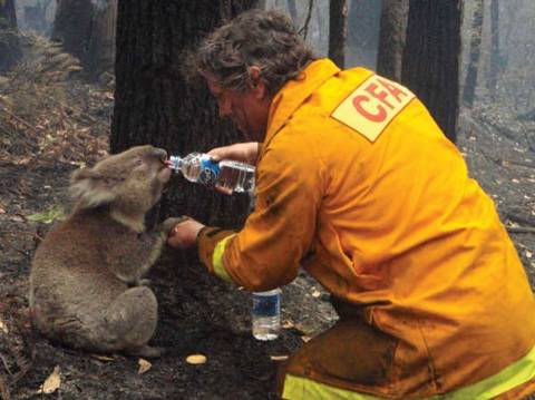Αυστραλία: Μαίνονται οι δεκάδες πυρκαγιές