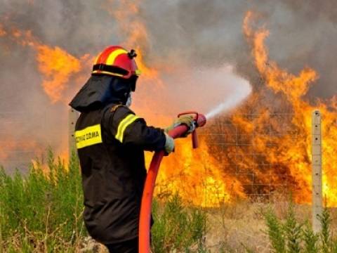 Στάχτη έγιναν οχτώ στρέμματα γης από δύο φωτιές στα Χανιά