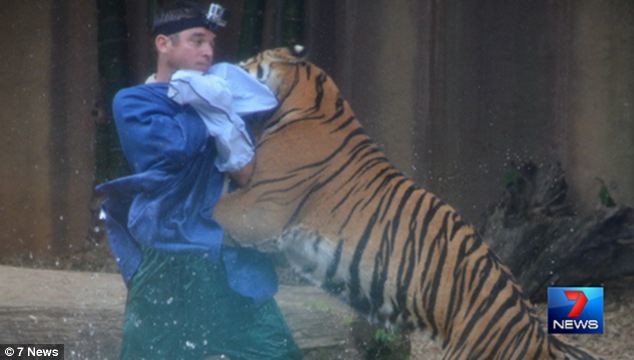 Εικόνες-ΣΟΚ: Τίγρης δάγκωσε εκπαιδευτή στο λαιμό