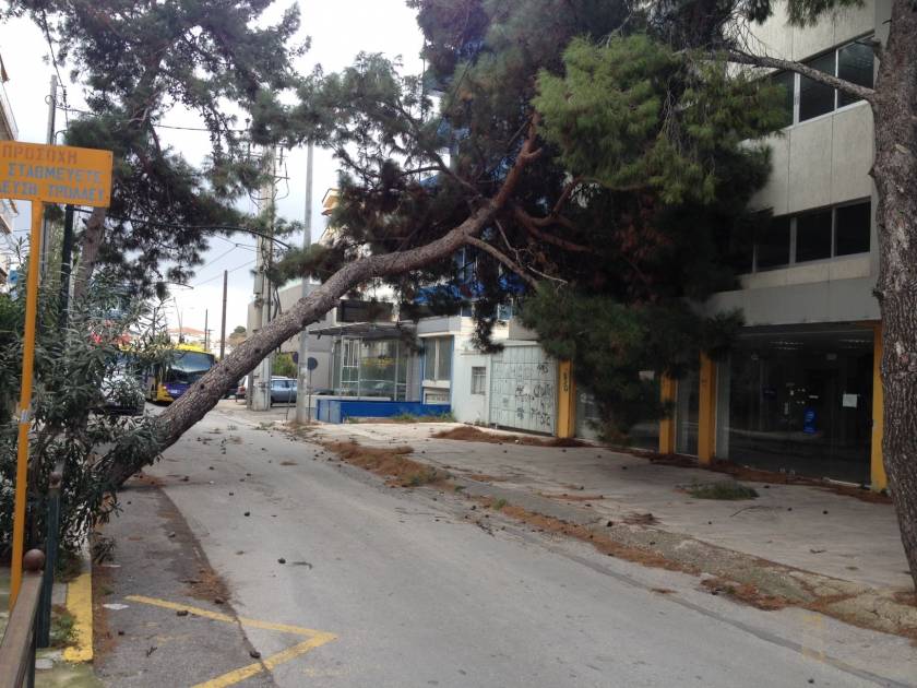 Χαλάνδρι: Δέντρο έπεσε πάνω στις γραμμές του τρόλεϊ (pics)