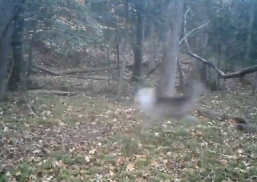 Κάτι τρομακτικό είδε το ελάφι έτρεξε μακριά... (βίντεο)
