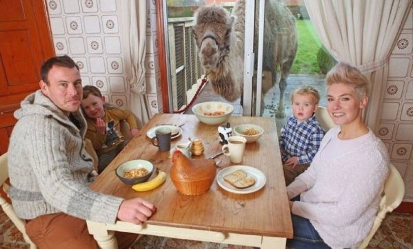 Απίστευτο: Οικογένεια τρώει το πρωινό της με μία καμήλα! (εικόνες)
