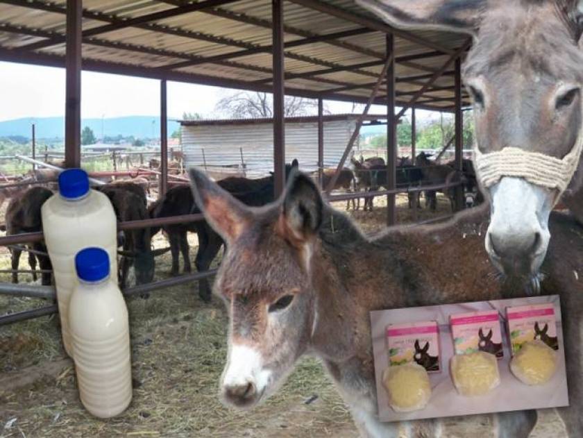 The precious…. donkey milk!
