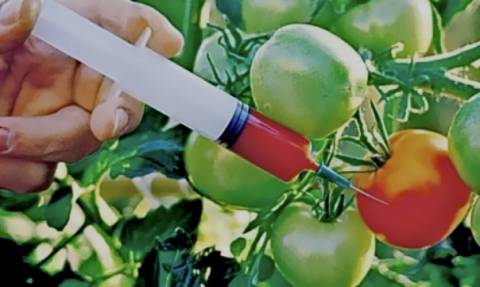 Κοντά σε συμφωνία η ΕΕ για την καλλιέργεια μεταλλαγμένων τροφίμων