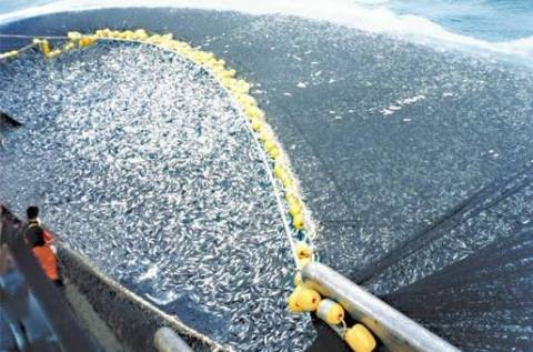 Η υπεραλίευση απειλή για τη ζωή στα θαλάσσια ύδατα