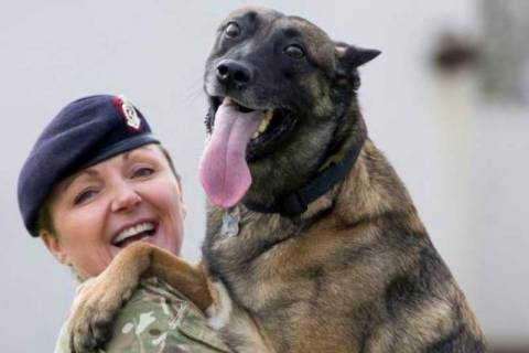 Στρατιωτικός υιοθέτησε το σκύλο που της έσωσε τη ζωή!