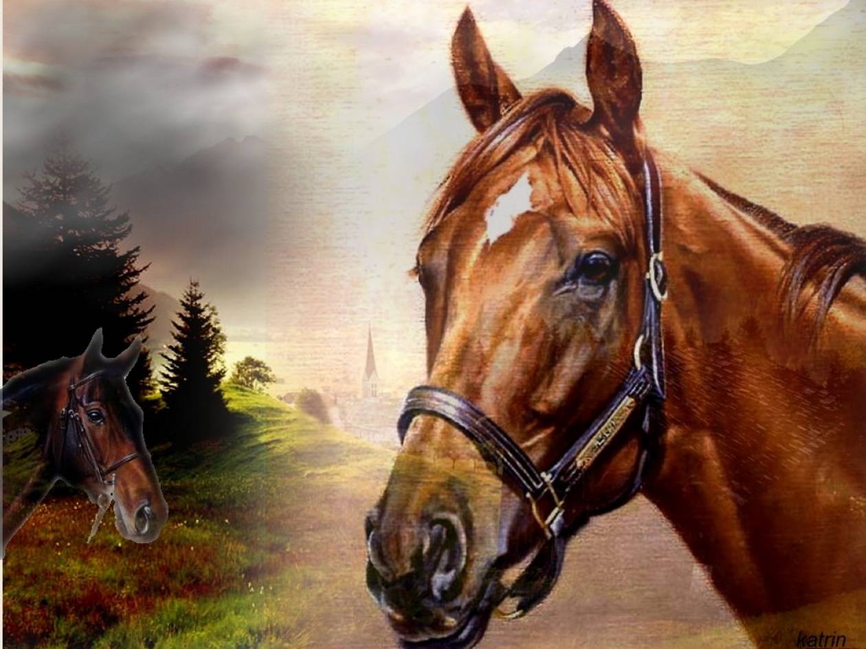 Читать про лошадей. Голова лошади живопись. Красивые картины лошадей. Портрет лошади. Голова лошади.