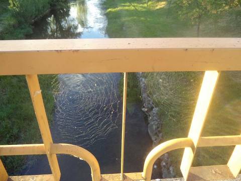 Πάσχα με… αράχνες σε γέφυρα των Τρικάλων