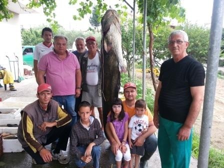 Κοζάνη: Δείτε το ψάρι που έβγαλαν από τη λίμνη – Ζυγίζει 145 κιλά (pics)