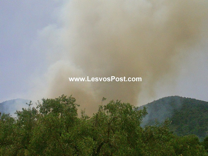 Μεγάλη πυρκαγιά στην Αγία Μαρίνα Μυτιλήνης (pics+vid)
