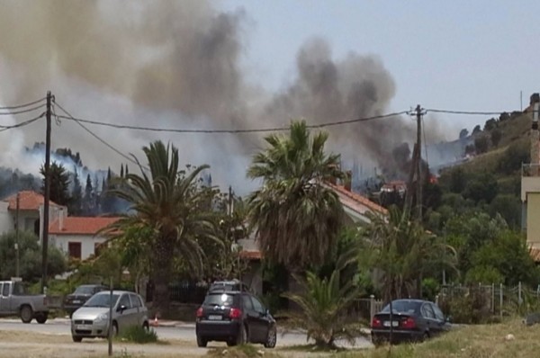Λάρισα: Μαίνεται η μεγάλη πυρκαγιά στον Αγιόκαμπο (pics-vid)