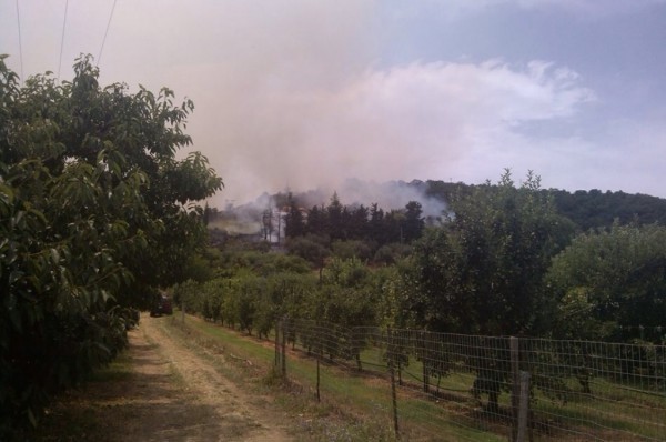 Λάρισα: Μαίνεται η μεγάλη πυρκαγιά στον Αγιόκαμπο (pics-vid)