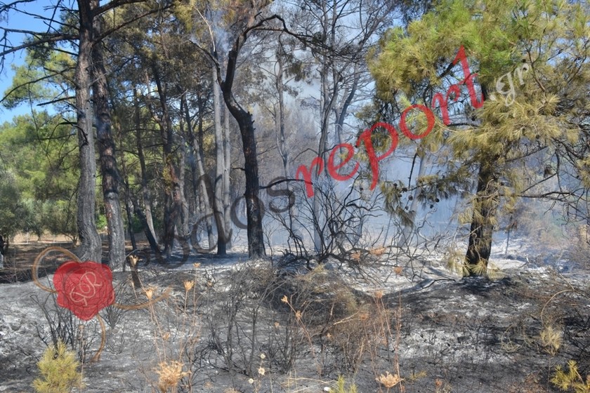 Ρόδος: Οι πρώτες εικόνες από τη μεγάλη πυρκαγιά στο νησί