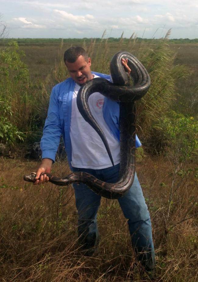 ΗΠΑ: Ο οικολόγος που παλεύει με τα φίδια! (video+photos)