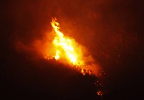 Εύβοια: Πυρκαγιά στον Άγιο Λουκά Αλιβερίου