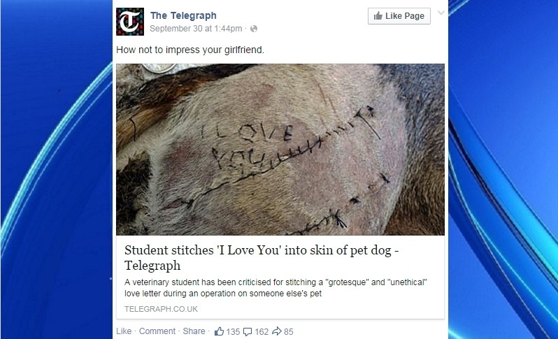 Σοκ: Έραψε «σ΄αγαπώ» πάνω σε σκύλο για να δείξει τον έρωτα του! (pics)