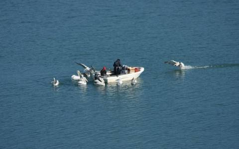 Συλλήψεις για παράνομη αλιεία στη Φλώρινα