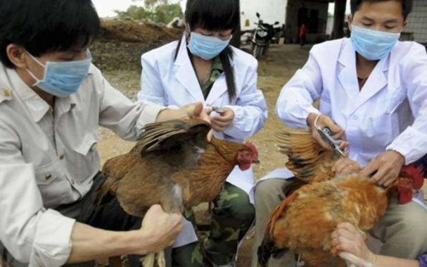 Πάτησε… Ευρώπη ο θανατηφόρος ιός της γρίπης των πτηνών!