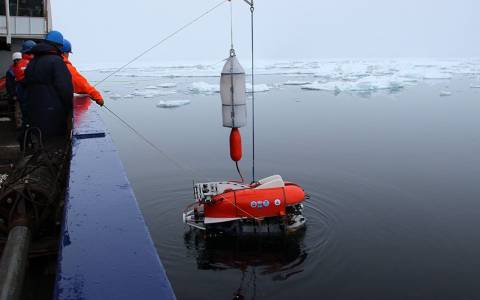 Ποιοι οργανισμοί ζουν κάτω από τους πάγους της Αρκτικής;
